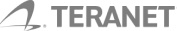 IT outsourcing service providers