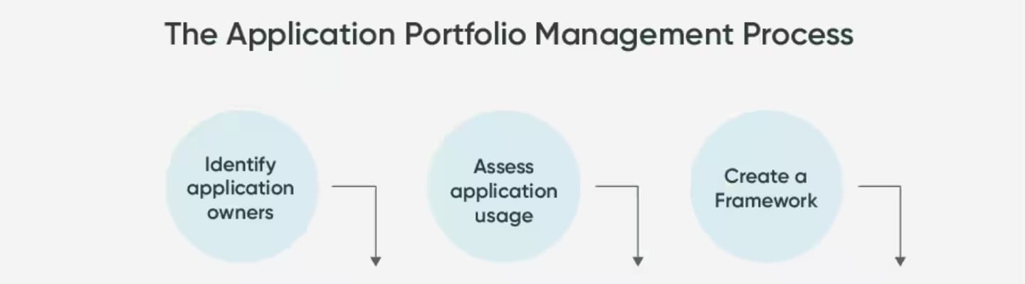 try service now application portfolio management
