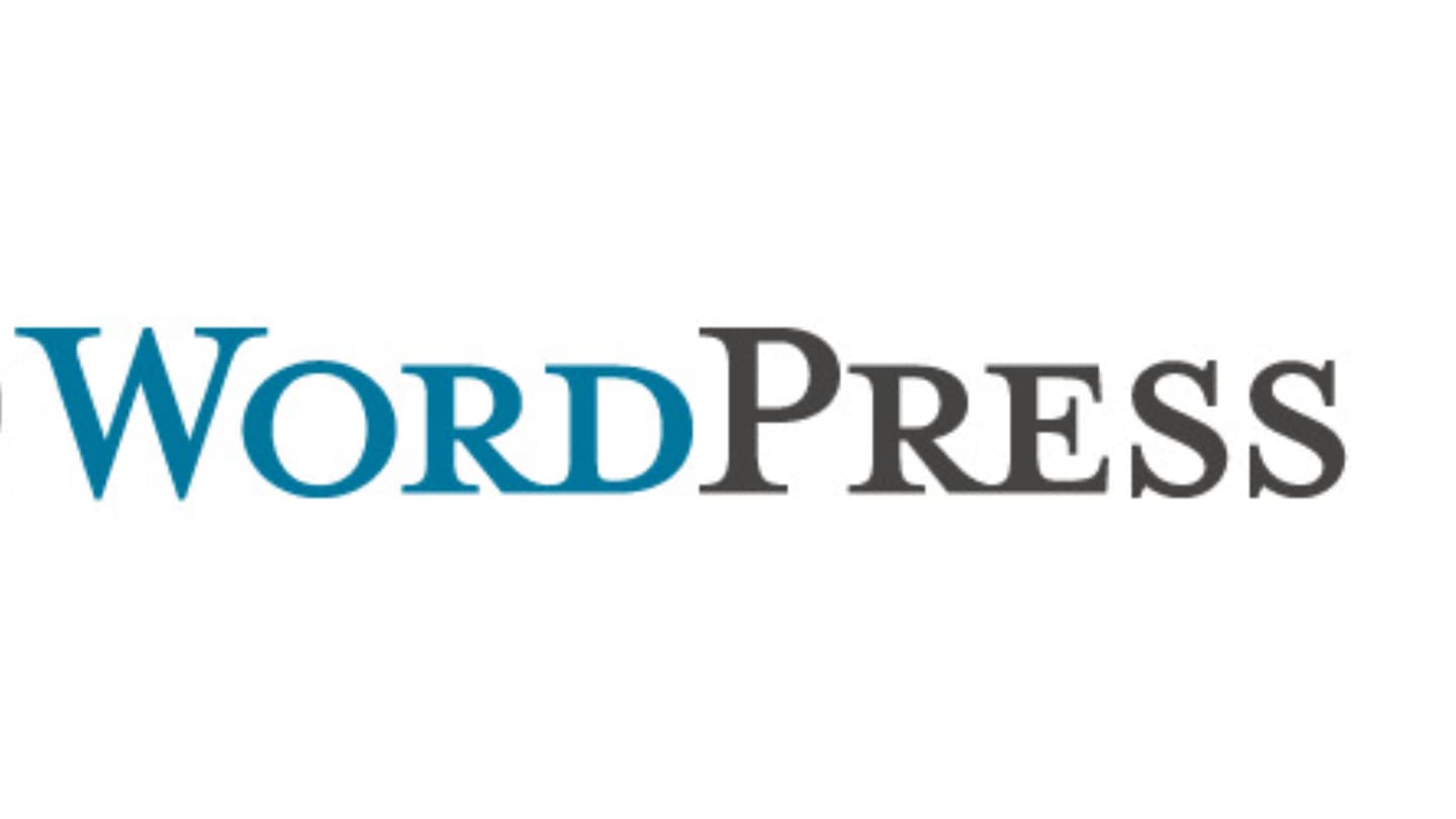 custom website design vs wordpress theme