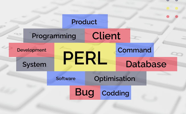 perl developer