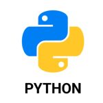 python development services