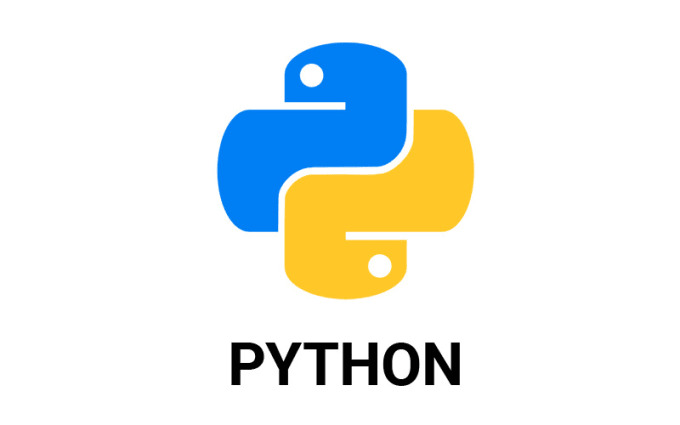 python development services