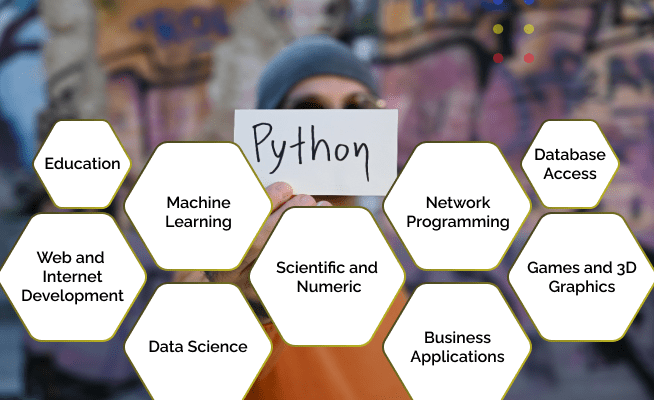 outsource python development