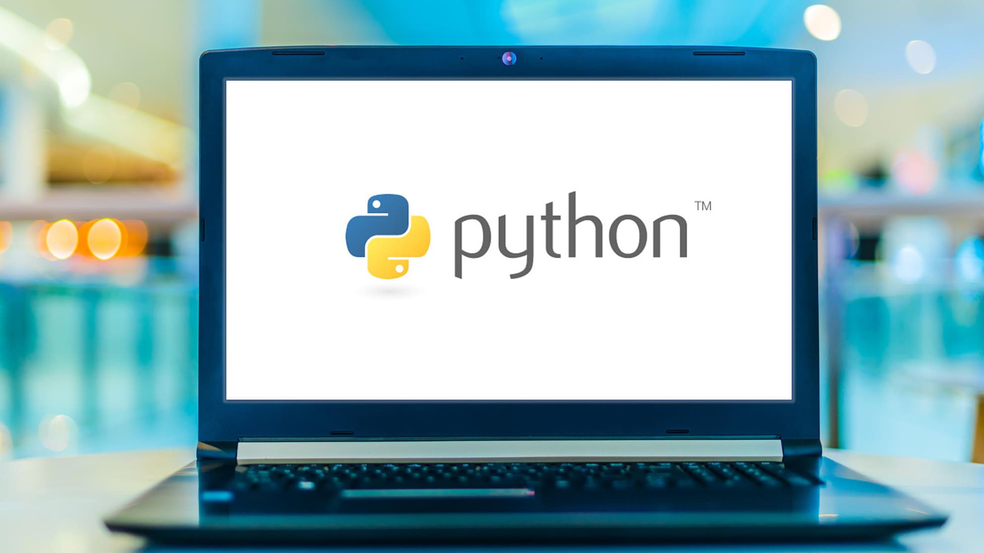 python web development