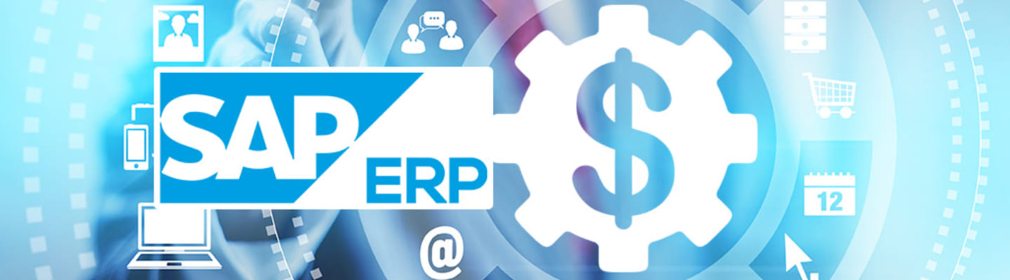 what is erp in sap