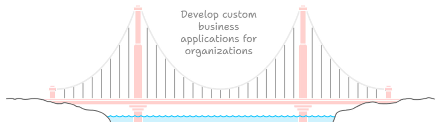 custom business application development