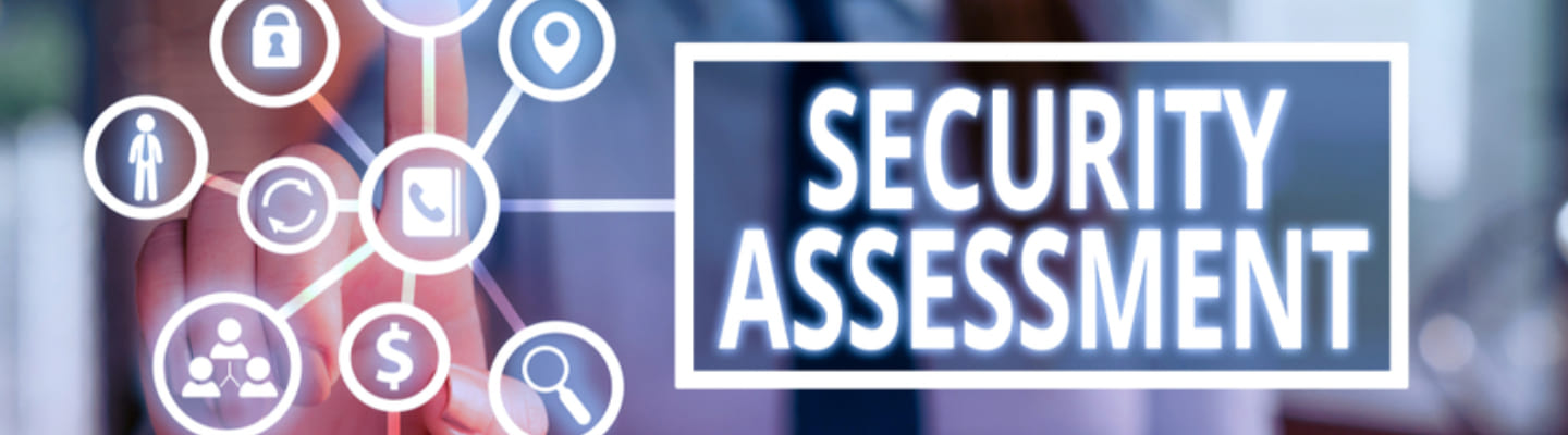 it security assessment services